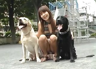 Adventurous hound penetrated yoke's juicy beaver hardly